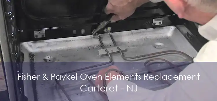 Fisher & Paykel Oven Elements Replacement Carteret - NJ