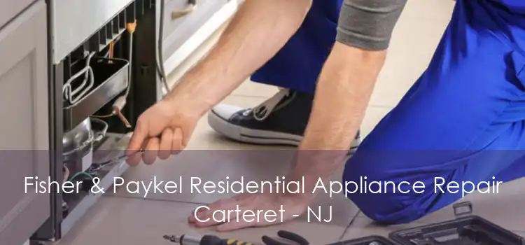 Fisher & Paykel Residential Appliance Repair Carteret - NJ