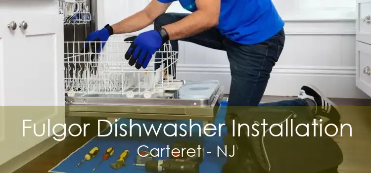 Fulgor Dishwasher Installation Carteret - NJ