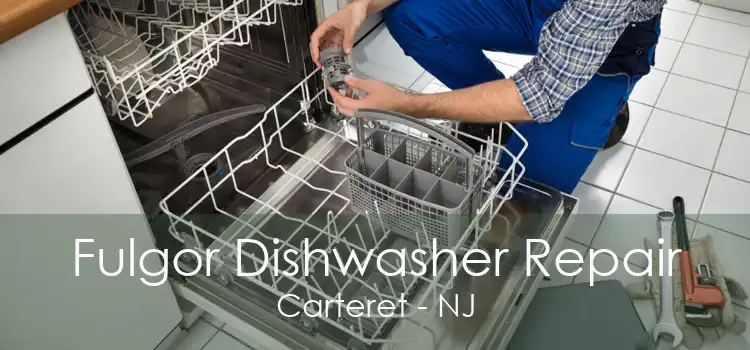 Fulgor Dishwasher Repair Carteret - NJ