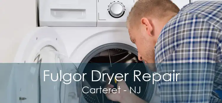 Fulgor Dryer Repair Carteret - NJ
