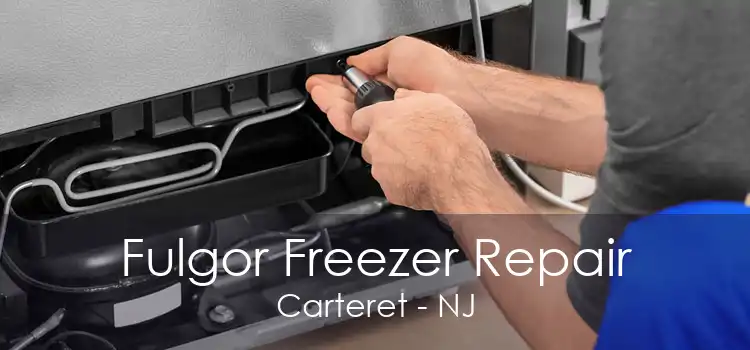 Fulgor Freezer Repair Carteret - NJ