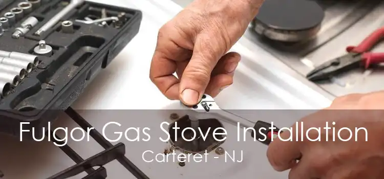 Fulgor Gas Stove Installation Carteret - NJ