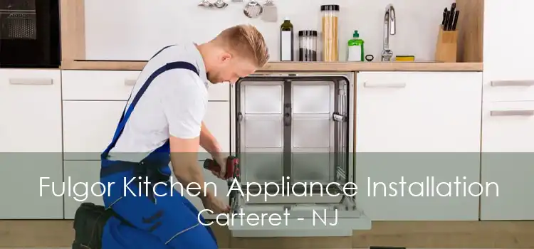 Fulgor Kitchen Appliance Installation Carteret - NJ