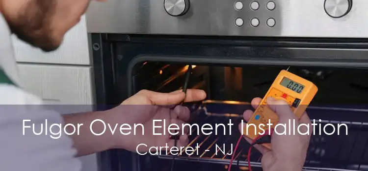 Fulgor Oven Element Installation Carteret - NJ