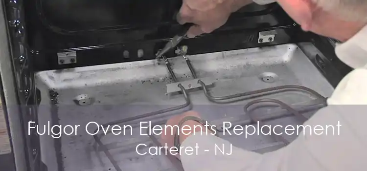Fulgor Oven Elements Replacement Carteret - NJ