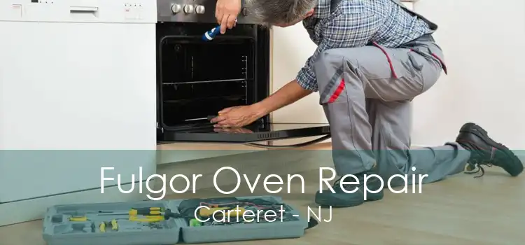 Fulgor Oven Repair Carteret - NJ