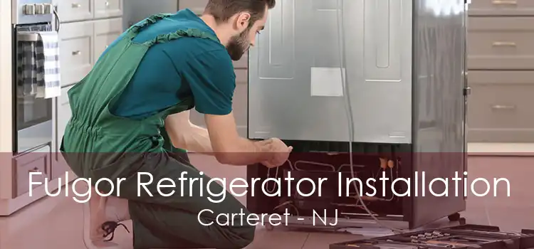 Fulgor Refrigerator Installation Carteret - NJ