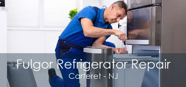 Fulgor Refrigerator Repair Carteret - NJ