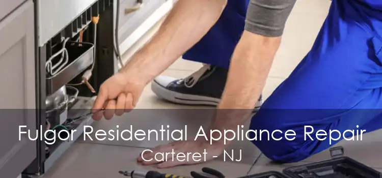 Fulgor Residential Appliance Repair Carteret - NJ
