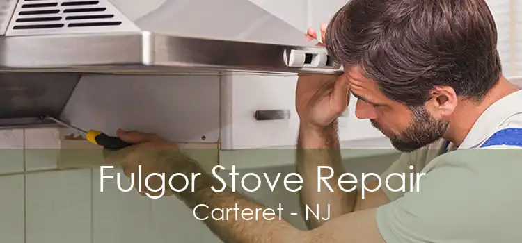 Fulgor Stove Repair Carteret - NJ