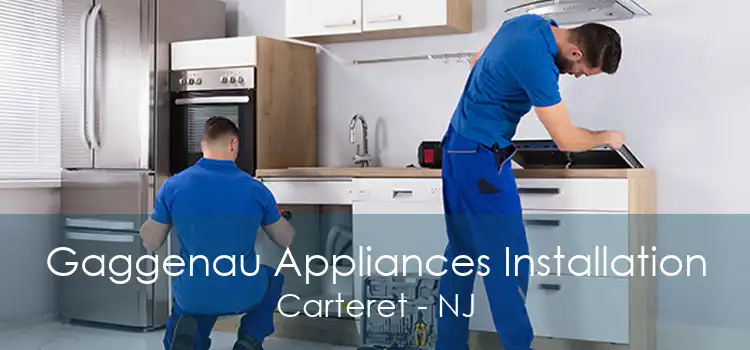 Gaggenau Appliances Installation Carteret - NJ