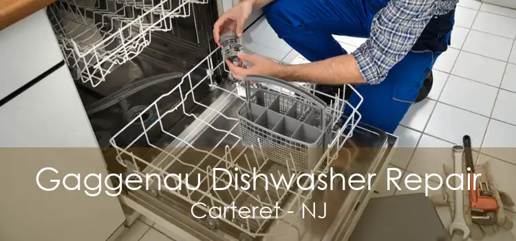 Gaggenau Dishwasher Repair Carteret - NJ