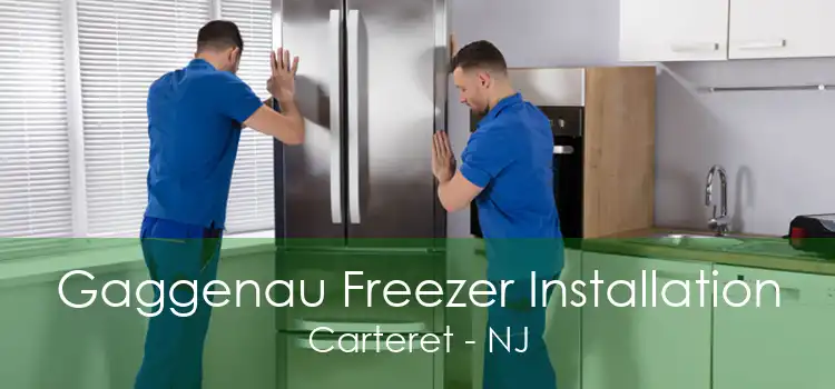 Gaggenau Freezer Installation Carteret - NJ