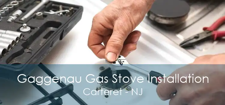 Gaggenau Gas Stove Installation Carteret - NJ