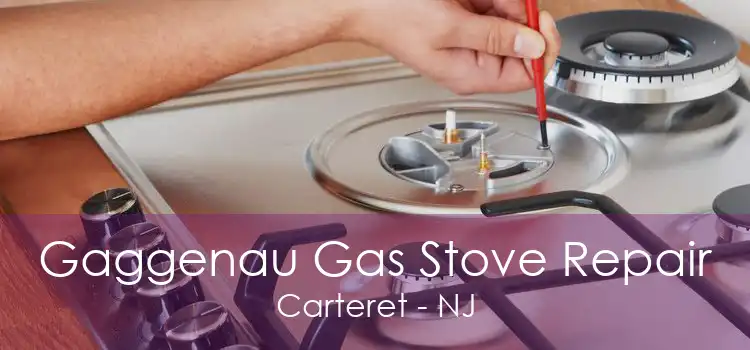Gaggenau Gas Stove Repair Carteret - NJ