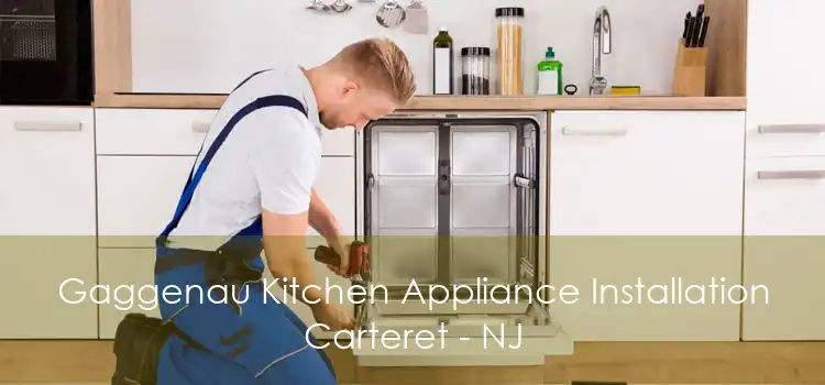 Gaggenau Kitchen Appliance Installation Carteret - NJ