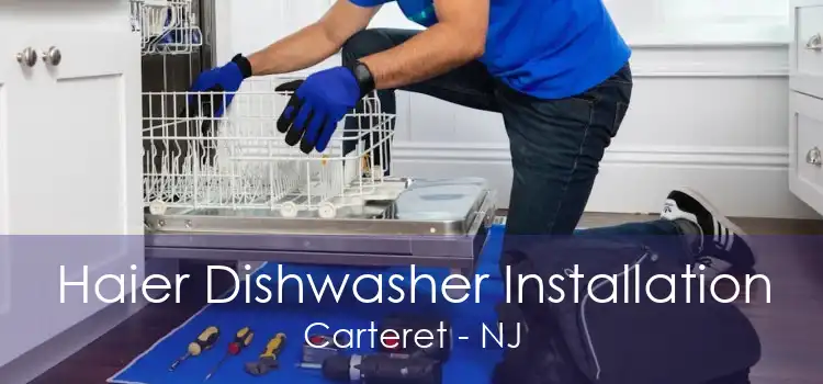 Haier Dishwasher Installation Carteret - NJ