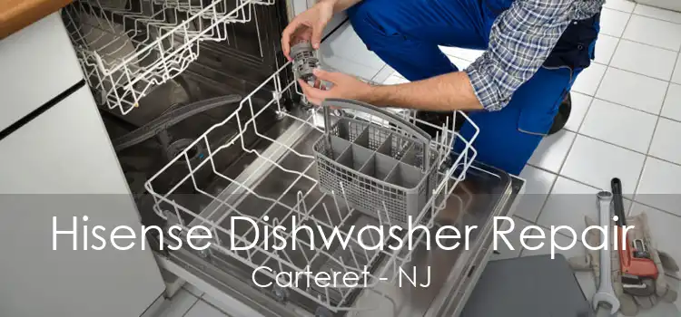 Hisense Dishwasher Repair Carteret - NJ