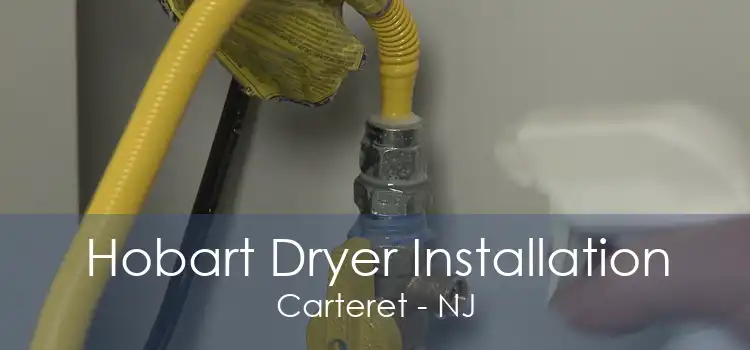 Hobart Dryer Installation Carteret - NJ