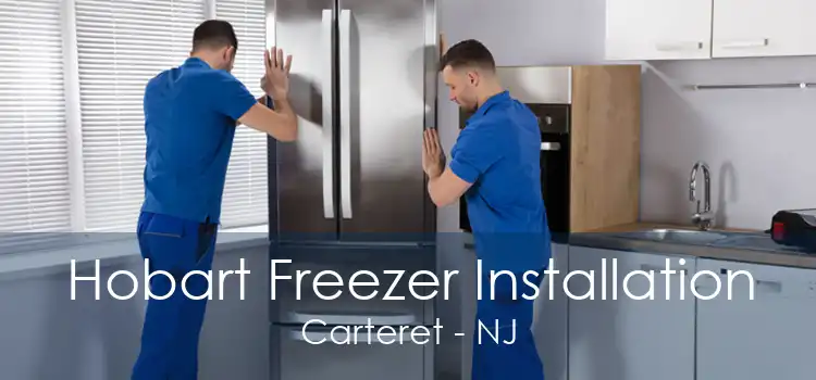 Hobart Freezer Installation Carteret - NJ