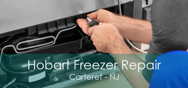 Hobart Freezer Repair Carteret - NJ