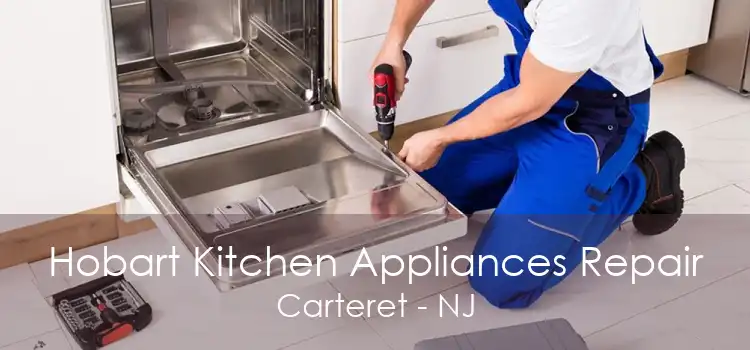 Hobart Kitchen Appliances Repair Carteret - NJ