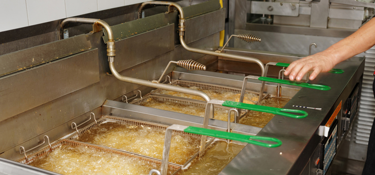 Smeg Commercial Fryer Repair in Carteret, NJ