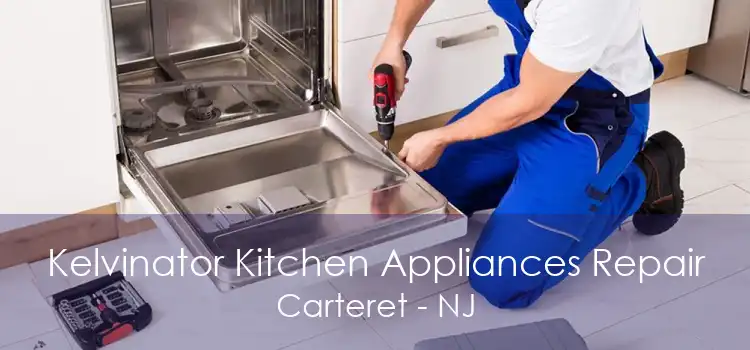 Kelvinator Kitchen Appliances Repair Carteret - NJ