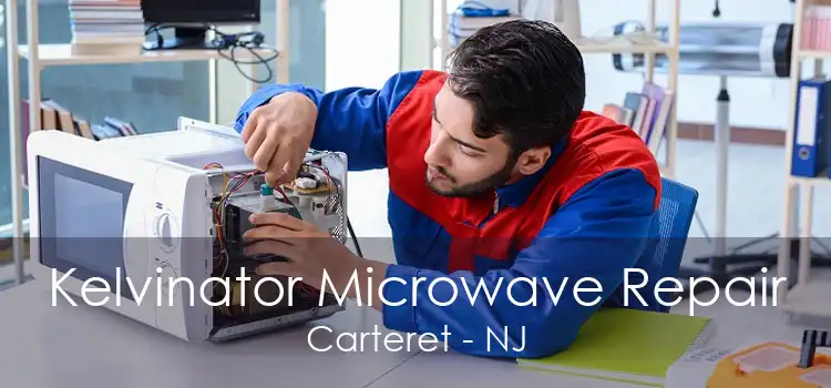 Kelvinator Microwave Repair Carteret - NJ