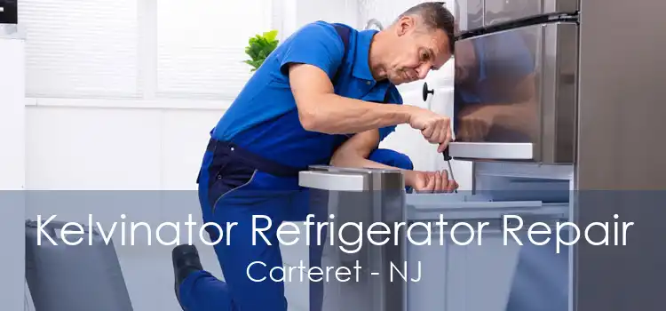 Kelvinator Refrigerator Repair Carteret - NJ