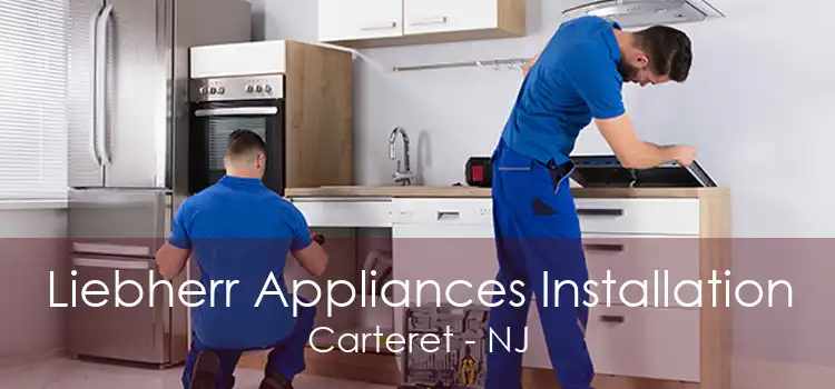 Liebherr Appliances Installation Carteret - NJ