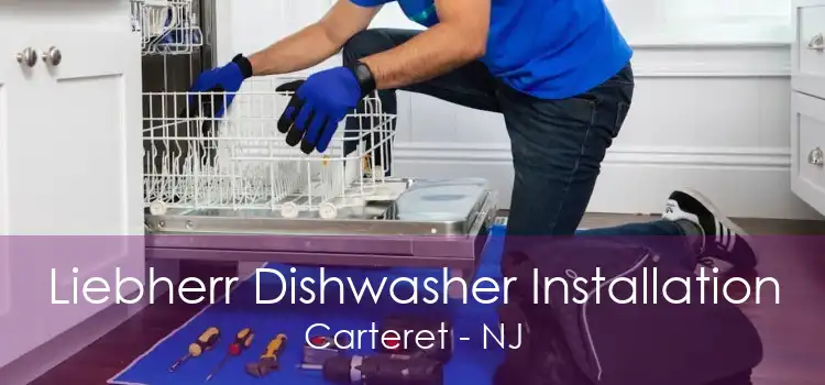 Liebherr Dishwasher Installation Carteret - NJ