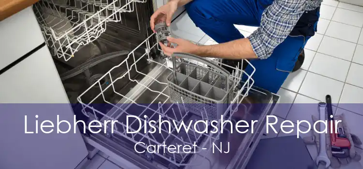Liebherr Dishwasher Repair Carteret - NJ