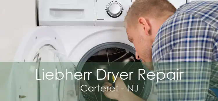 Liebherr Dryer Repair Carteret - NJ