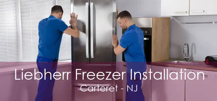 Liebherr Freezer Installation Carteret - NJ