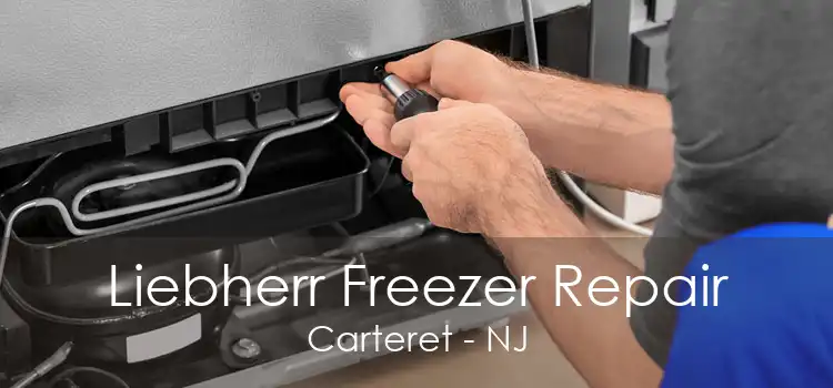 Liebherr Freezer Repair Carteret - NJ
