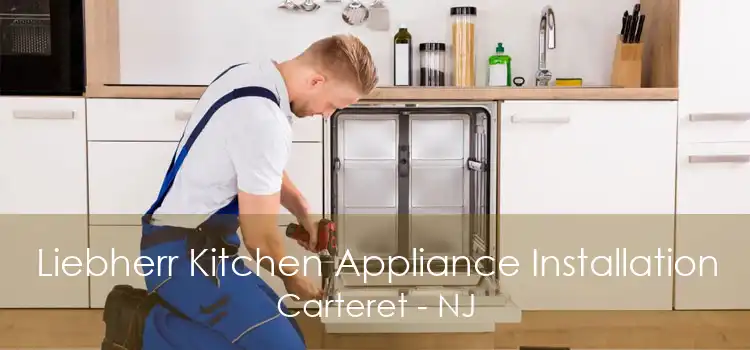 Liebherr Kitchen Appliance Installation Carteret - NJ