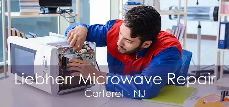 Liebherr Microwave Repair Carteret - NJ