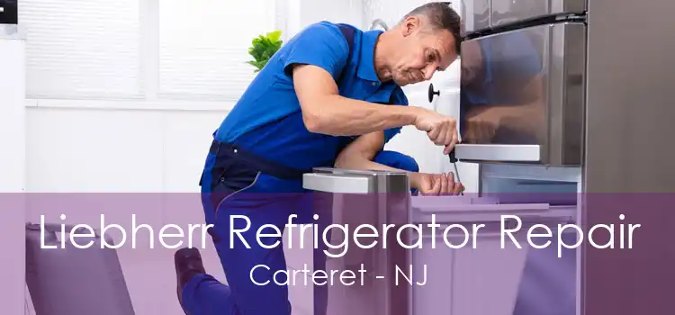 Liebherr Refrigerator Repair Carteret - NJ