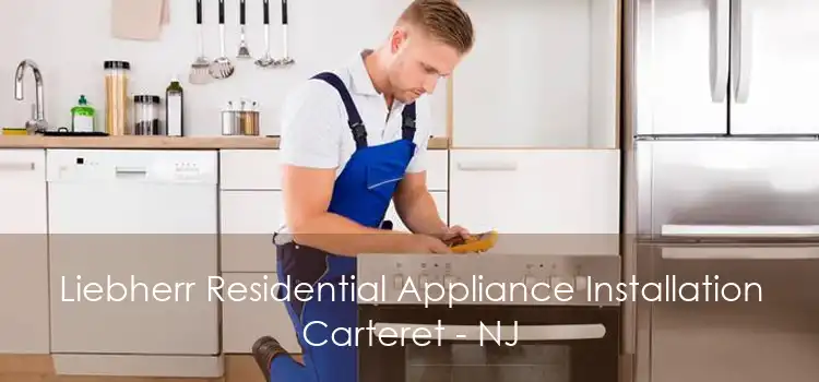 Liebherr Residential Appliance Installation Carteret - NJ