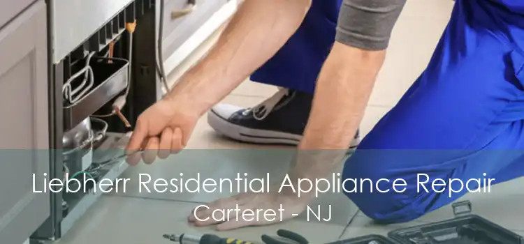 Liebherr Residential Appliance Repair Carteret - NJ