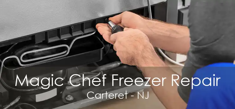 Magic Chef Freezer Repair Carteret - NJ
