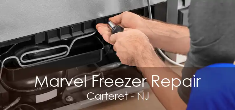 Marvel Freezer Repair Carteret - NJ