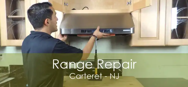 Range Repair Carteret - NJ