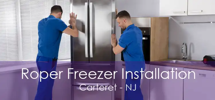 Roper Freezer Installation Carteret - NJ