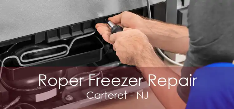 Roper Freezer Repair Carteret - NJ