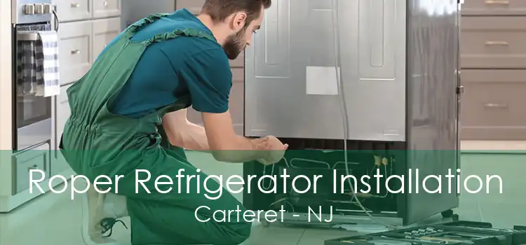 Roper Refrigerator Installation Carteret - NJ
