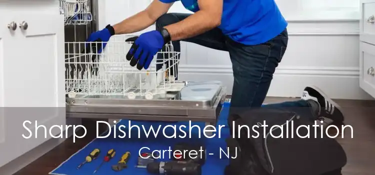Sharp Dishwasher Installation Carteret - NJ