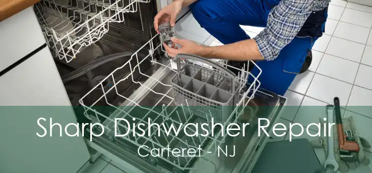 Sharp Dishwasher Repair Carteret - NJ